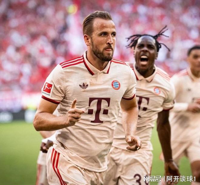 本菲卡vs奥克兰城预测-开云官网