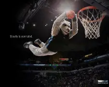 明尼苏达森林狼内部会议纪要流出——赛前远射贴柱；国王杯使命明确；赛程密集仍需轮换(李凯尔与明尼苏达森林狼队完成签约)-开云棋牌入口